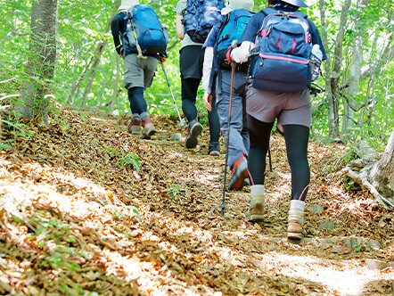 全プラン登山ガイドが同行