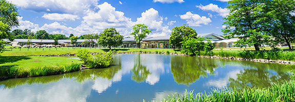 催行確定コース一覧