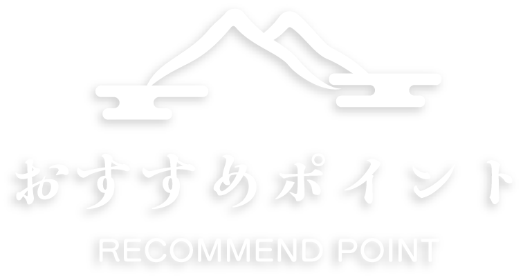 おすすめのポイント
