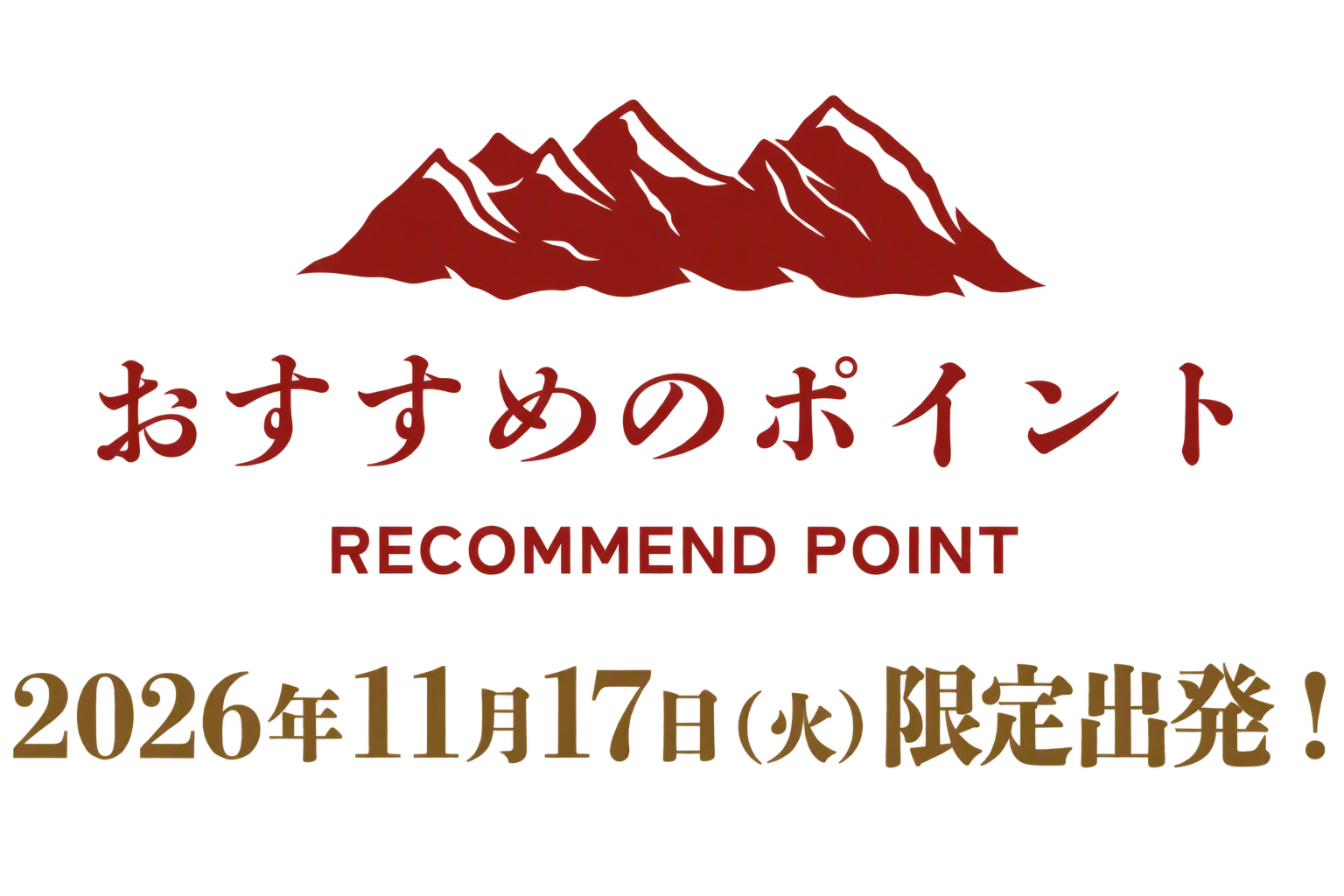 おすすめのポイント
